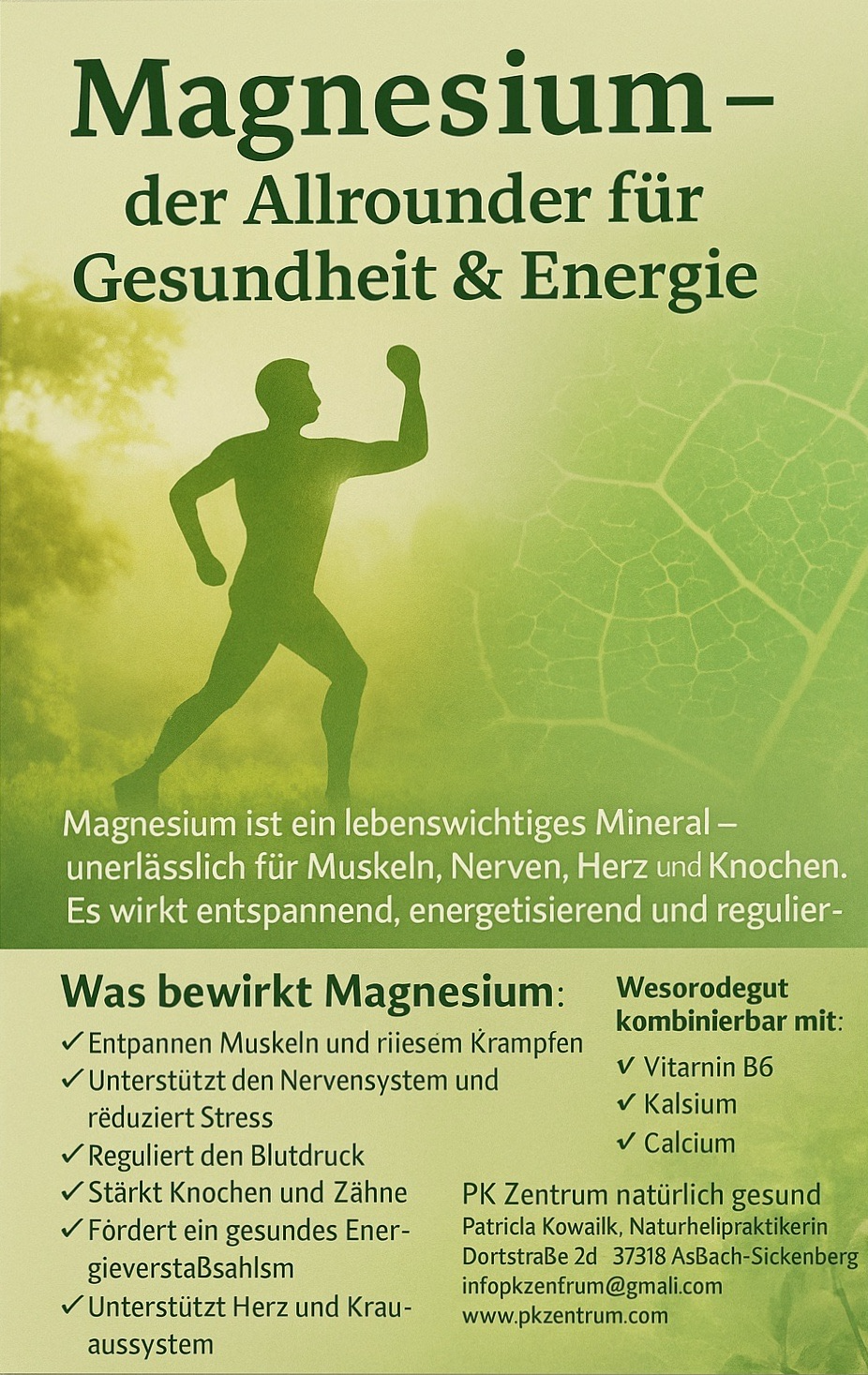 Magnesium Komplex 60 Kapseln