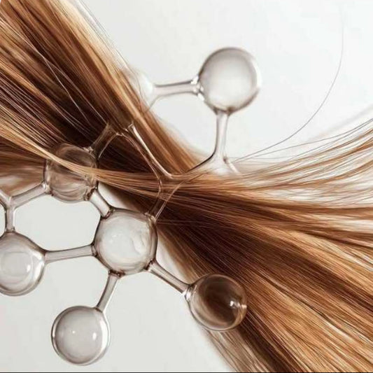 PK Zentrum Haaranalyse Mensch Variante D Kombi Test Bestseller - Angebot